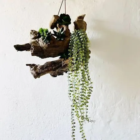 La Casa Di Regina * Tronzano Vercellese